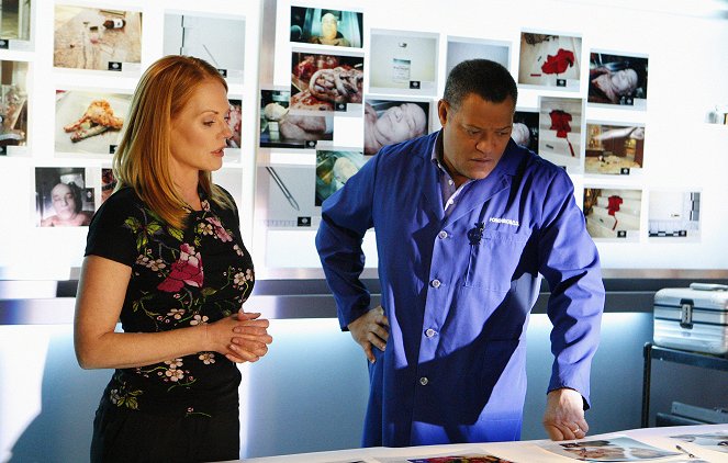 CSI: Crime Scene Investigation - Appendicitement - Photos - Laurence Fishburne, Marg Helgenberger