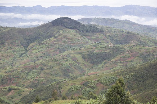 Na cestě - Na cestě po střední Rwandě - Photos
