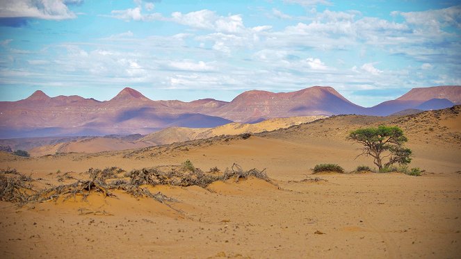 One Wild Day - Grasslands - Photos