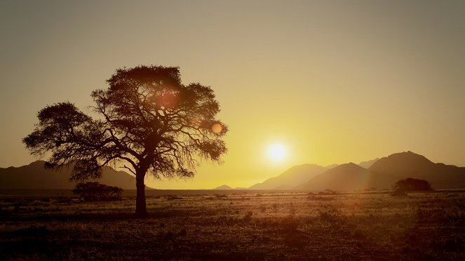 Egy vad nap - Sivatagok - Filmfotók