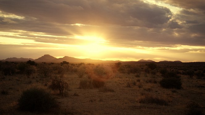 Vuorokausi villieläimen matkassa - Deserts - Kuvat elokuvasta