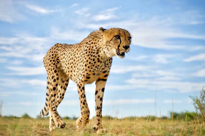 24 Stunden Wildnis - Jäger der Wüste - Filmfotos