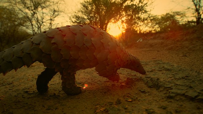 Egy vad nap - Sivatagok - Filmfotók