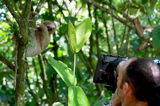 Jeden den v divočině - Jungles - Z natáčení