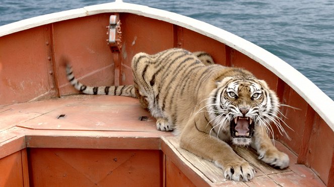 Life Of Pi - Schiffbruch mit Tiger - Filmfotos