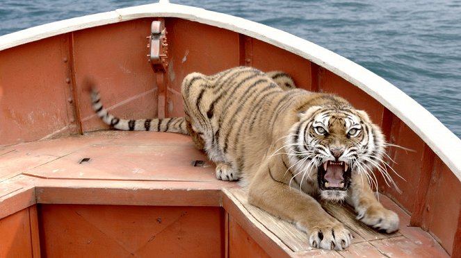 Life of Pi - Van film