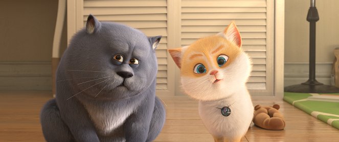Oscar et le monde des chats - Film