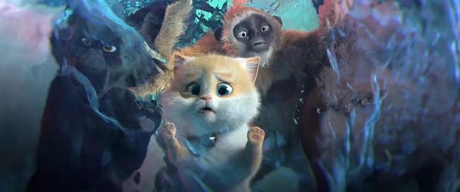 Bráulio e o Mundo dos Gatos - Do filme