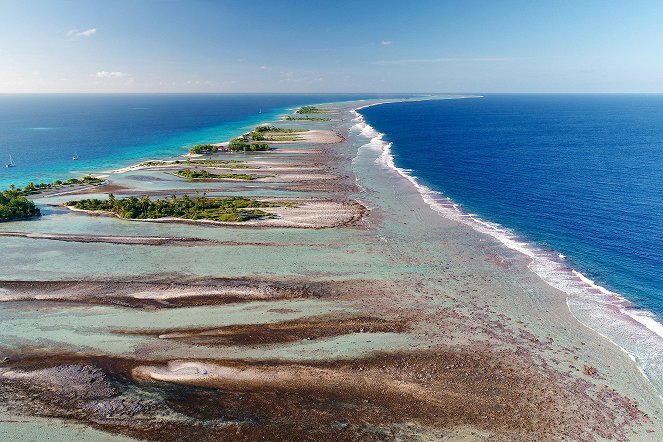 La Vie secrète des atolls de Polynésie - Film