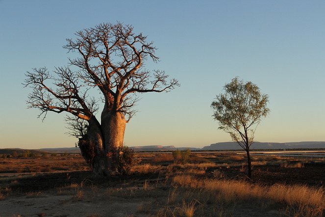 Outback - Van film