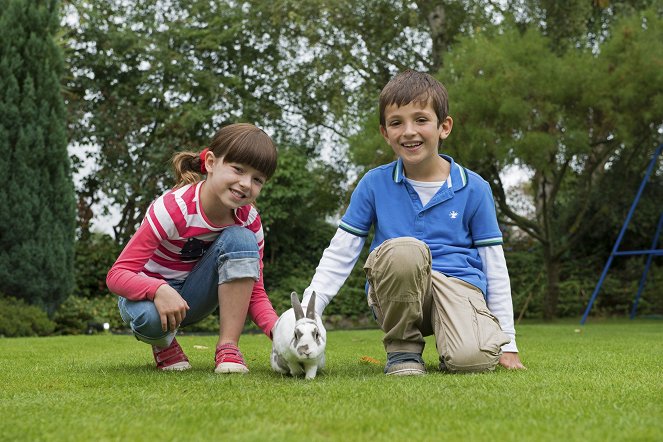 Topsy and Tim - Van film