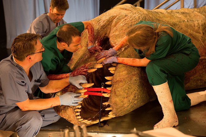 T-Rex Autopsy - Do filme