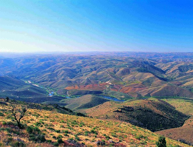 La Bataille du Coâ - Une leçon portugaise - Photos