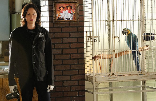 CSI: Crime Scene Investigation - Season 11 - Wild Life - Photos - Jorja Fox