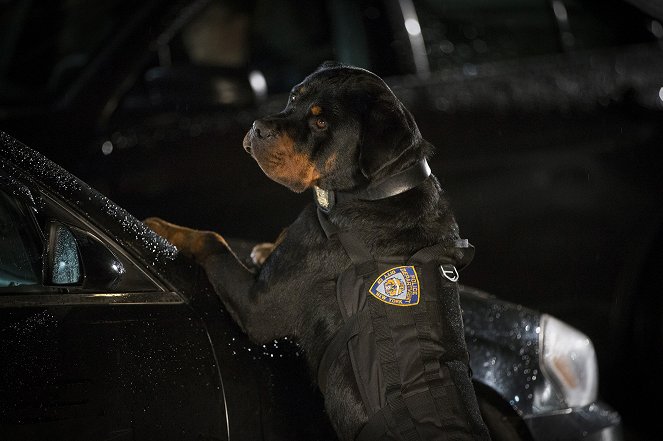 Superagente canino - De la película