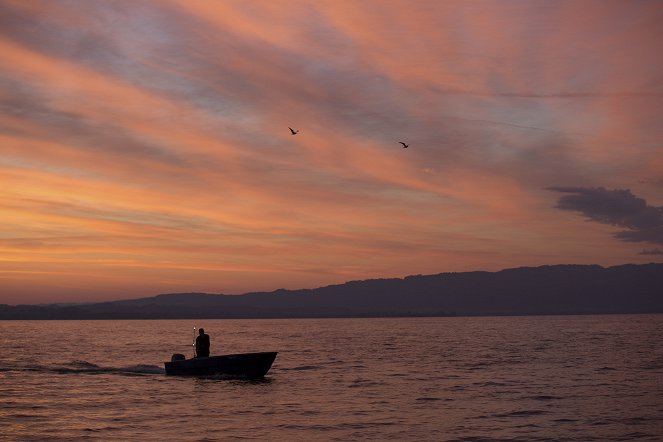 Universum: Bodensee - Wildnis am großen Wasser - Z filmu