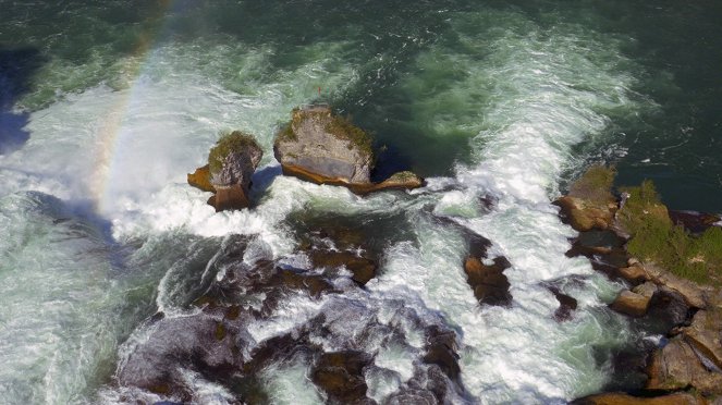 Universum: Bodensee - Wildnis am großen Wasser - Z filmu