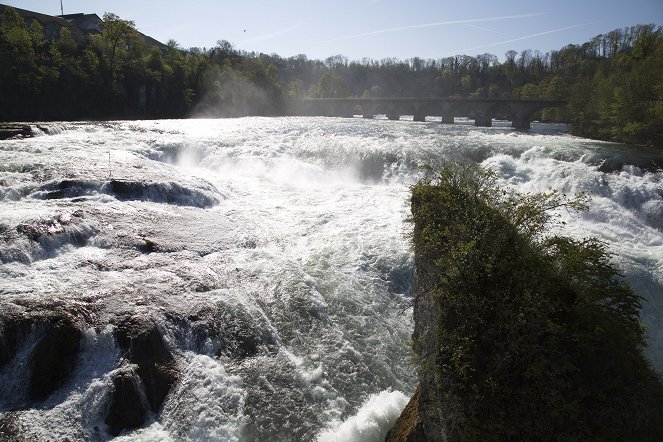 Universum: Bodensee - Wildnis am großen Wasser - Z filmu