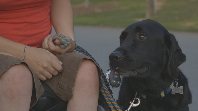 Is Your Dog A Genius? - De la película