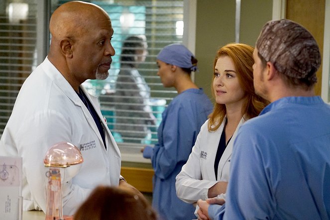 Grey's Anatomy - Season 13 - Back Where You Belong - Photos - James Pickens Jr., Sarah Drew