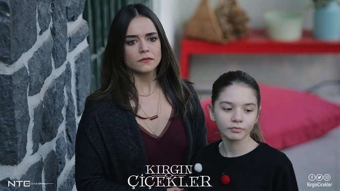 Kırgın Çiçekler - Lobbykaarten