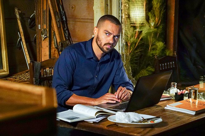Grey's Anatomy - Who Is He (And What Is He to You)? - Van film - Jesse Williams