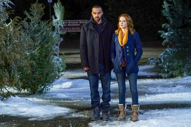Grey's Anatomy - Who Is He (And What Is He to You)? - Photos - Jesse Williams, Sarah Drew