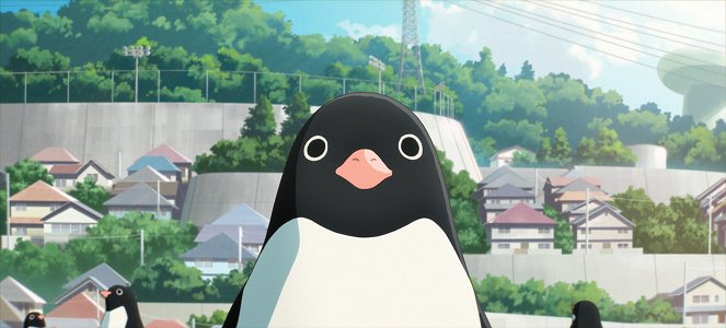 Penguin Highway (El misterio de los pingüinos) - De la película