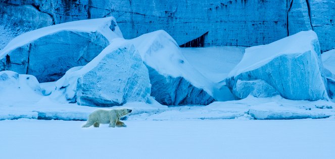 Erlebnis Erde: Auf Wiedersehen Eisbär! - Mein Leben auf Spitzbergen - Filmfotos