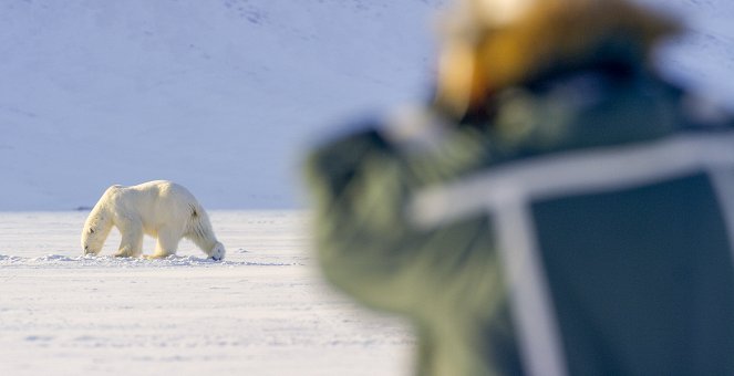 Universum: Frost - Meine Eisbärin auf Spitzbergen - Filmfotos
