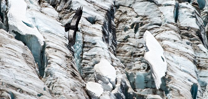 Patagonia: Earth's Secret Paradise - Z filmu