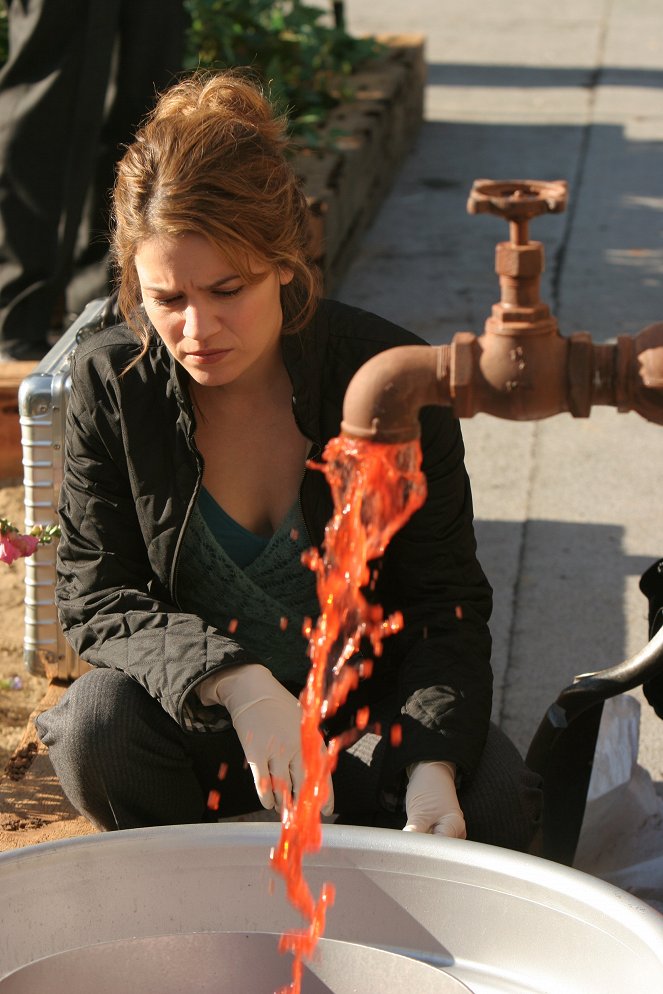 CSI: New York - Tod im Wassertank - Filmfotos - Anna Belknap