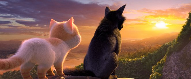Bráulio e o Mundo dos Gatos - Do filme