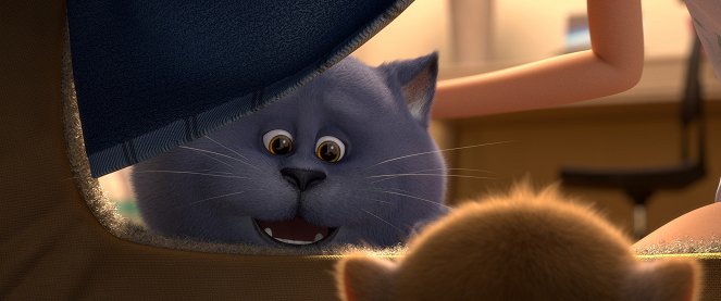 Příběh koček - Z filmu