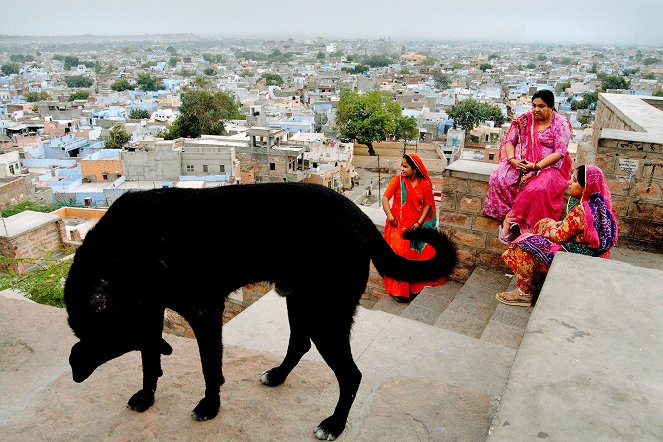 L'Inde dans l'oeil d'un photographe : Raghu Rai - Film