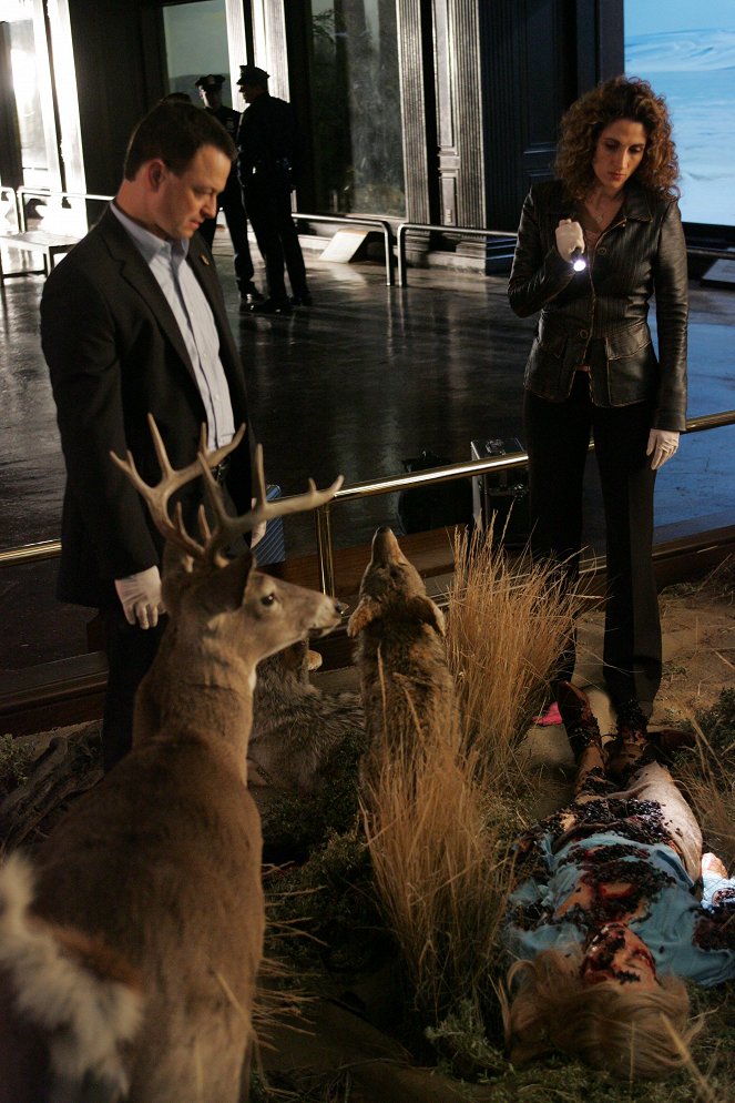 CSI: New York - Leichenschau - Filmfotos - Gary Sinise, Melina Kanakaredes
