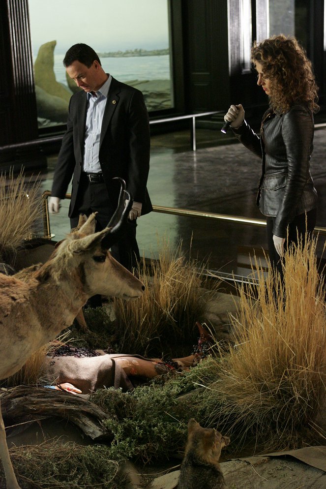 CSI: Kryminalne zagadki Nowego Jorku - Amerykańska nekrofilia - Z filmu - Gary Sinise, Melina Kanakaredes
