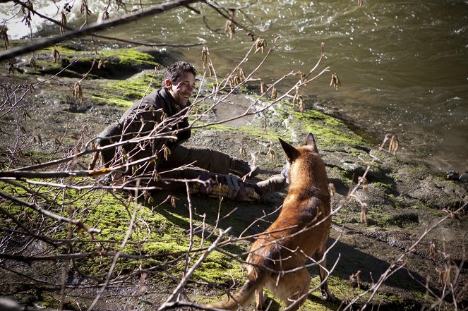 Wrecked - Filmfotók - Adrien Brody