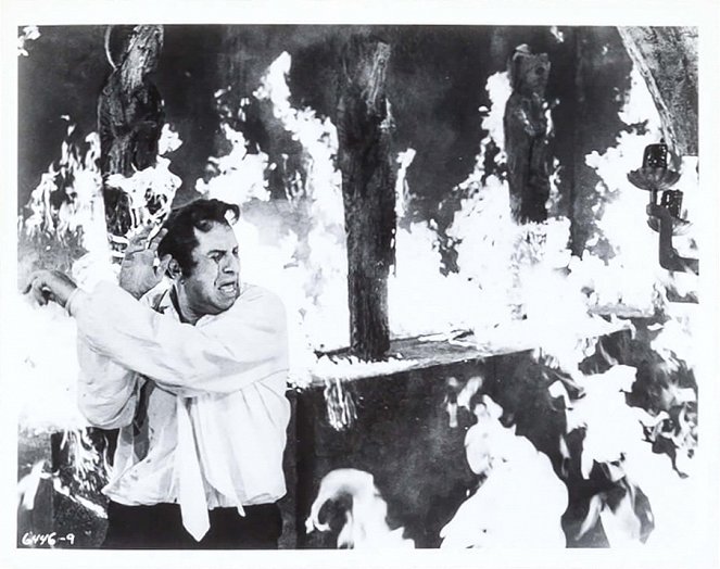 Das Grab des Grauens - Filmfotos - Vincent Price