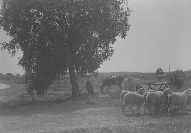Unelma karjamajalla - Kuvat elokuvasta