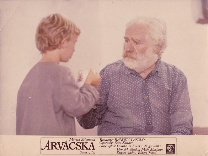 Árvácska - Lobbykarten