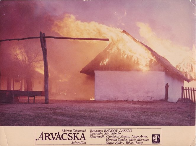 Árvácska - Mainoskuvat