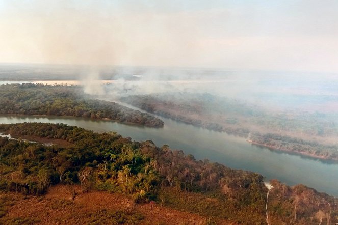 Die Hüter des Amazonas - Filmfotos