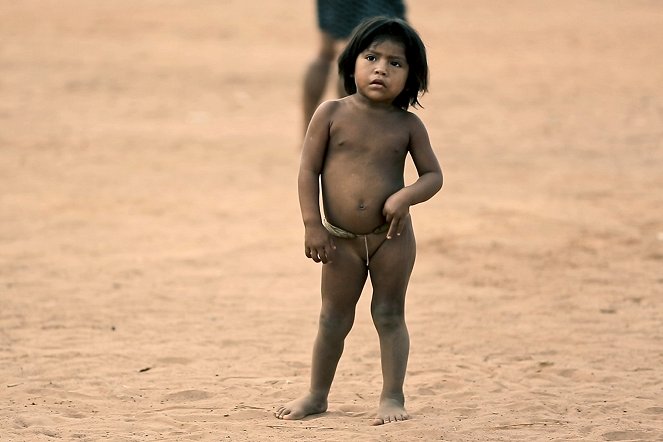 Une histoire amazonienne - Van film