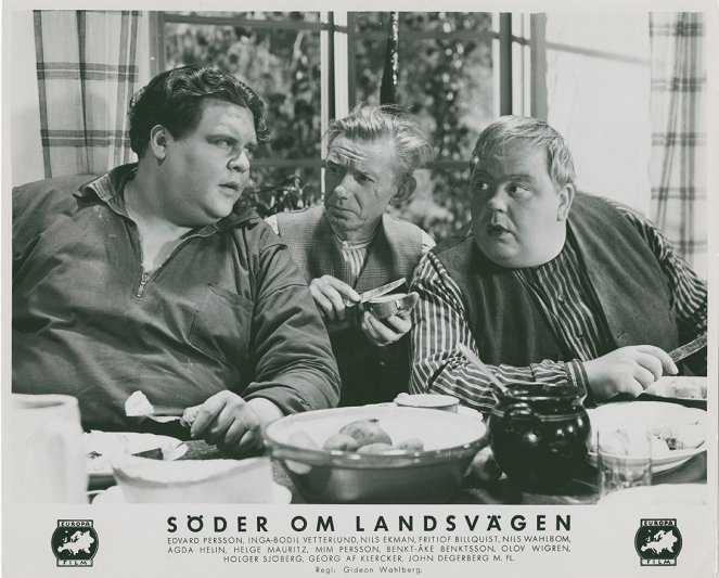 Söder om landsvägen - Fotosky