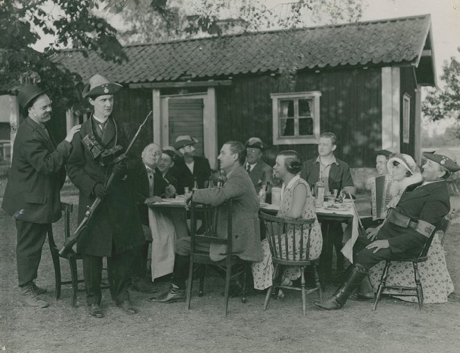 Kärlek och landstorm - Film