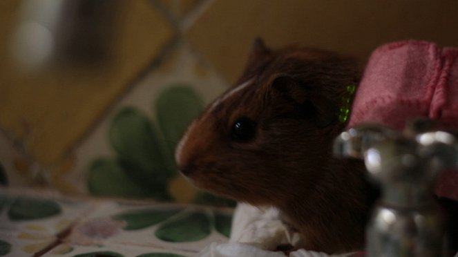 El hamsterino Viajador del Tiempo - Kuvat elokuvasta