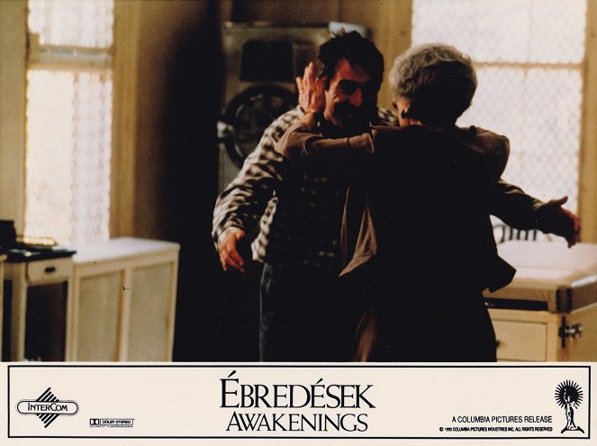 Despertares - Fotocromos - Robert De Niro