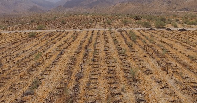 Imperial Valley (Cultivated Run-Off) - Do filme