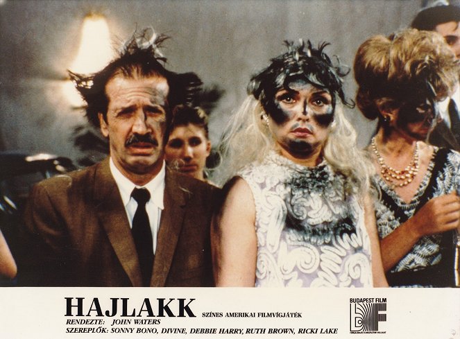 Hajlakk - Vitrinfotók